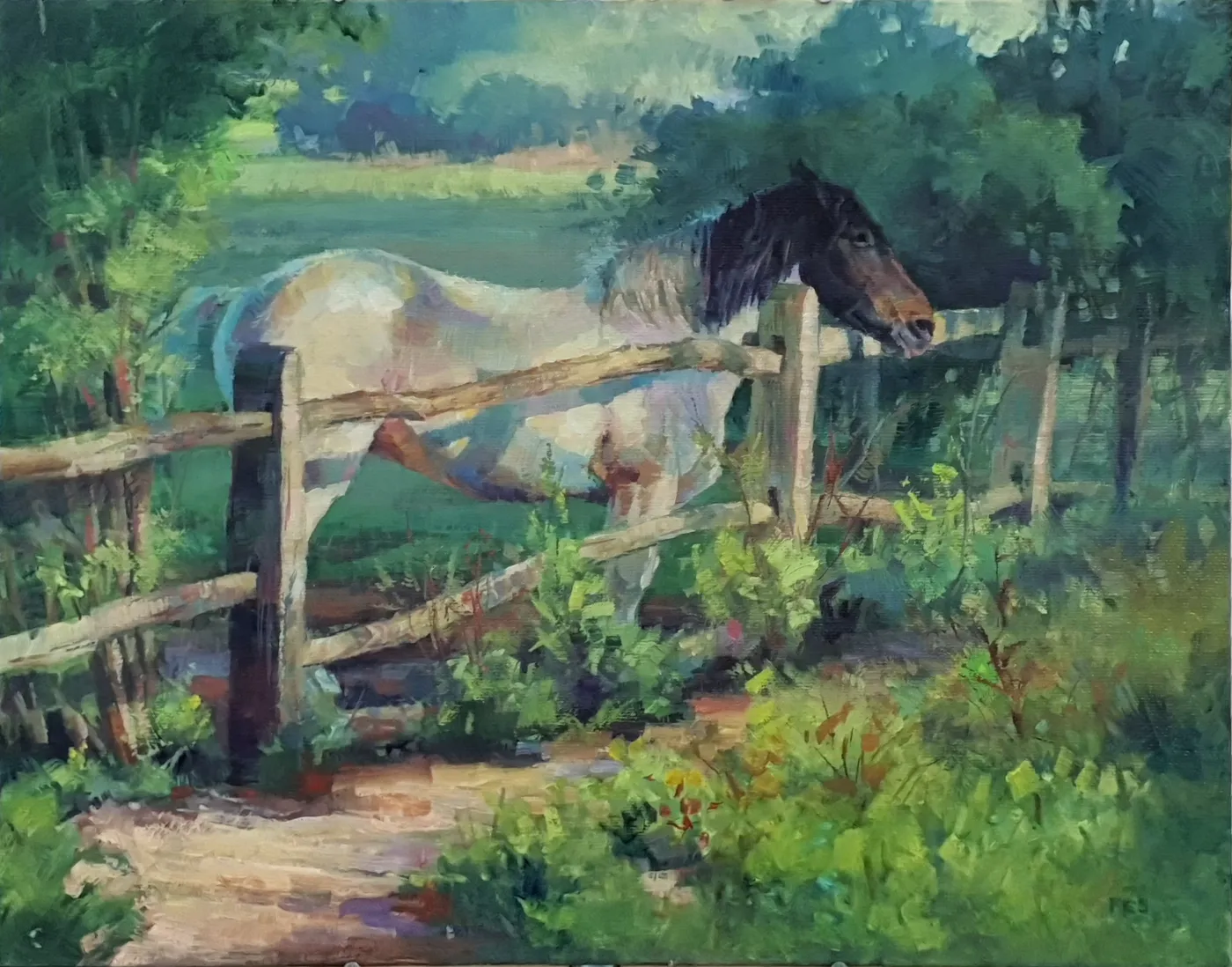 Pony at Ham