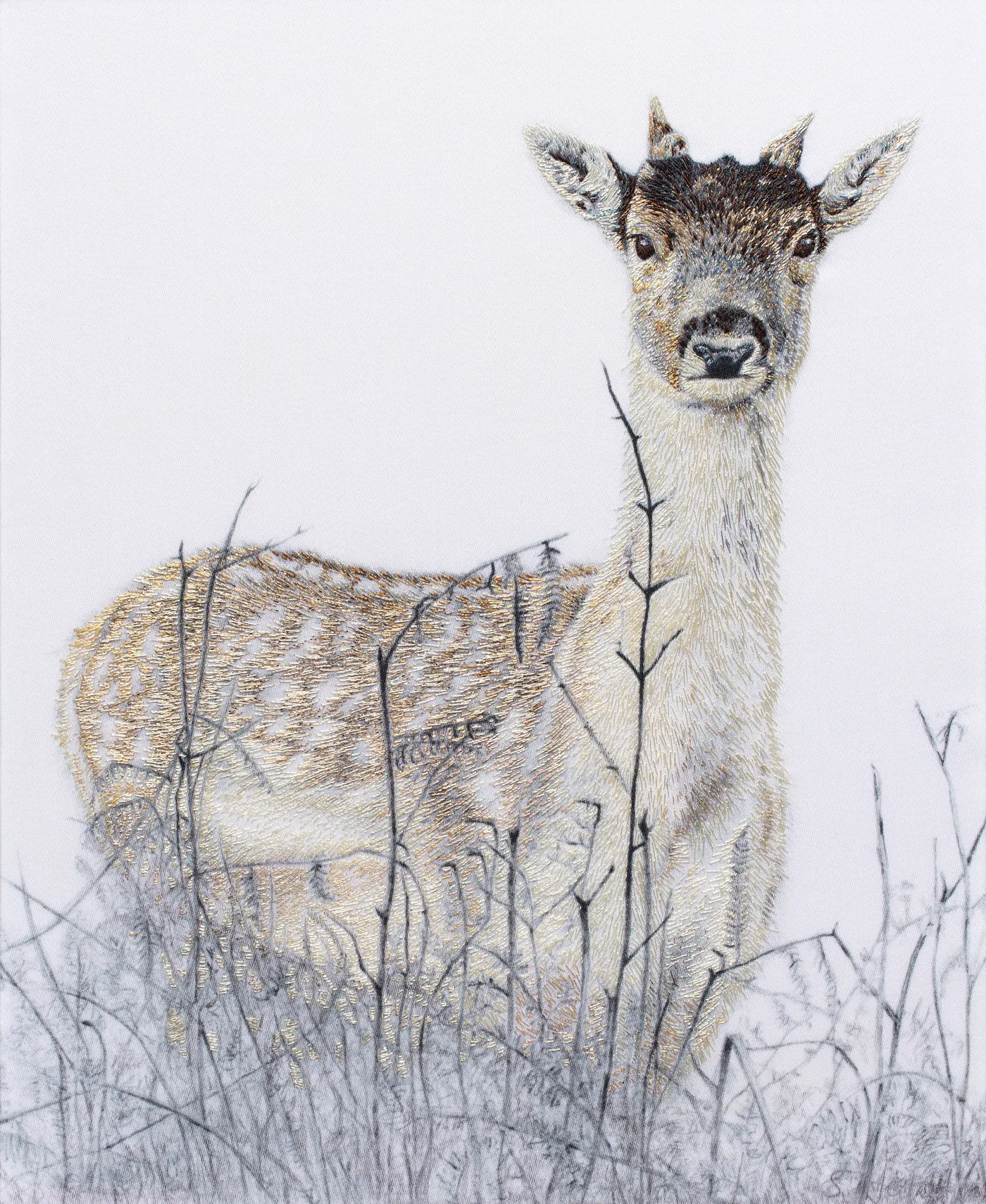 Young Richmond Deer