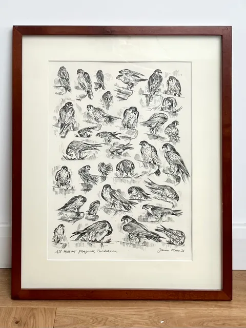 All Hallows' Peregrines, Twickenham (observational studies from my window)